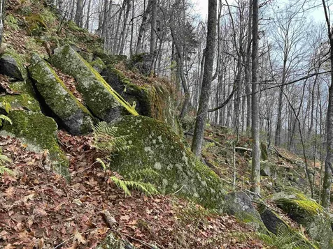 0 Pound Road Sutton NH 03221