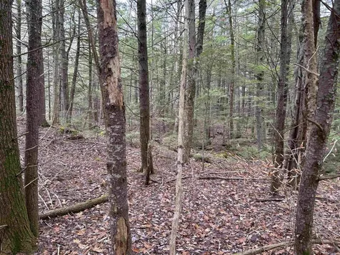 0 Pound Road Sutton NH 03221