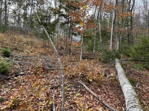 0 Pound Road Sutton NH 03221