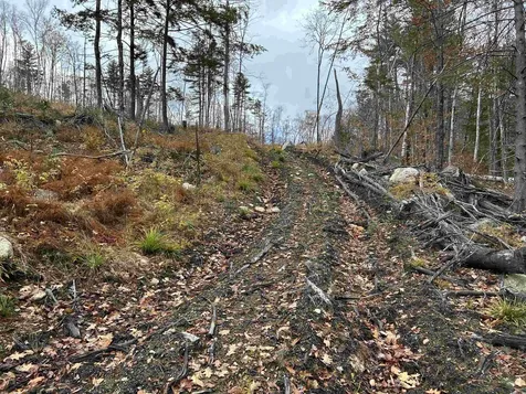 0 Pound Road Sutton NH 03221