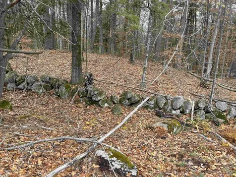 0 Pound Road Sutton NH 03221