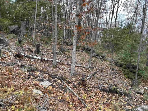 0 Pound Road Sutton NH 03221