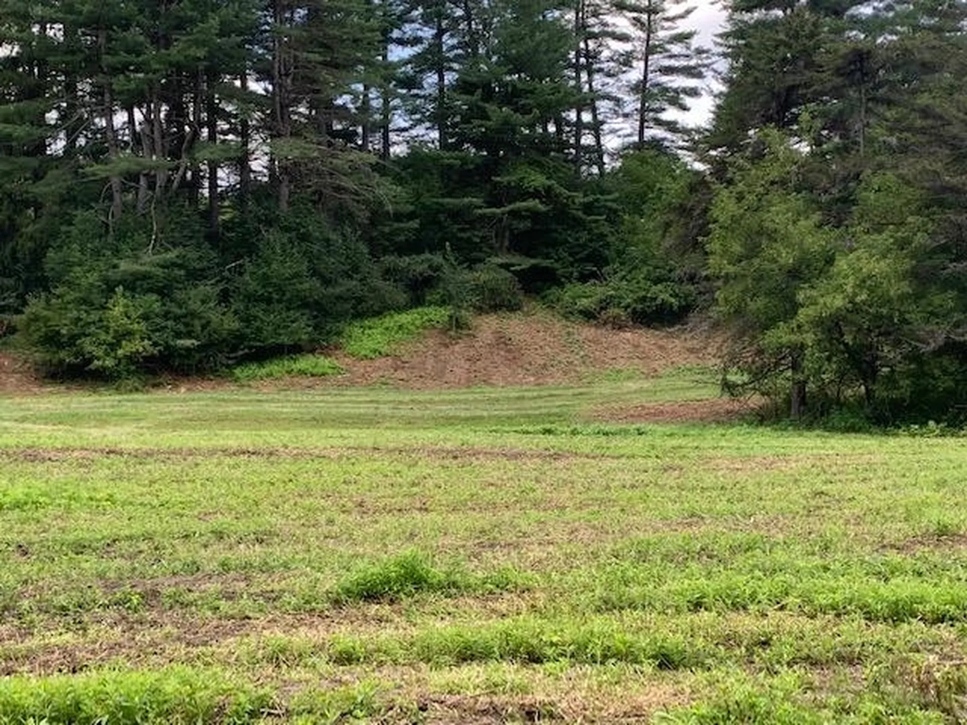 0 Barnard Road Woodstock VT 05091