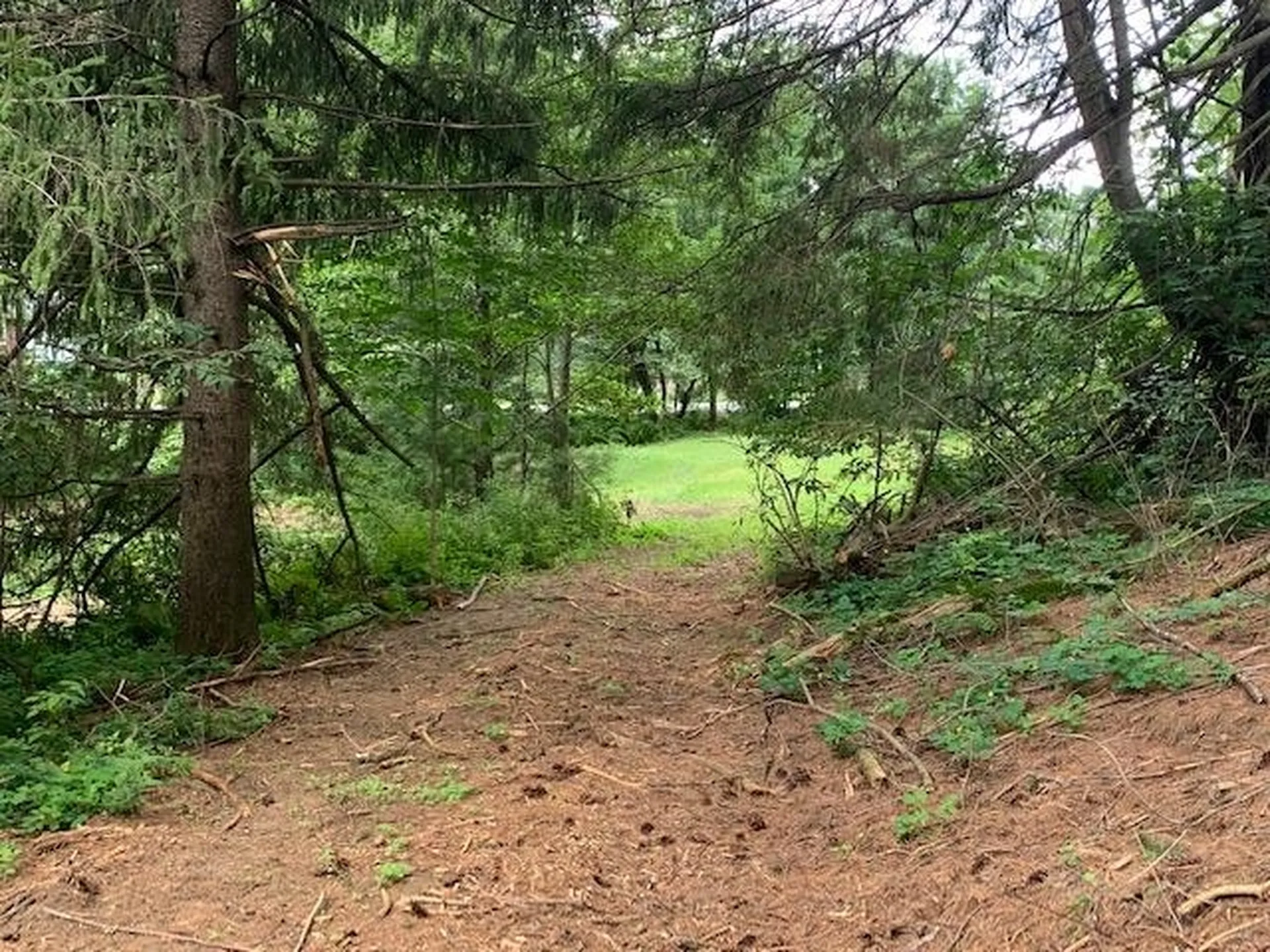 0 Barnard Road Woodstock VT 05091