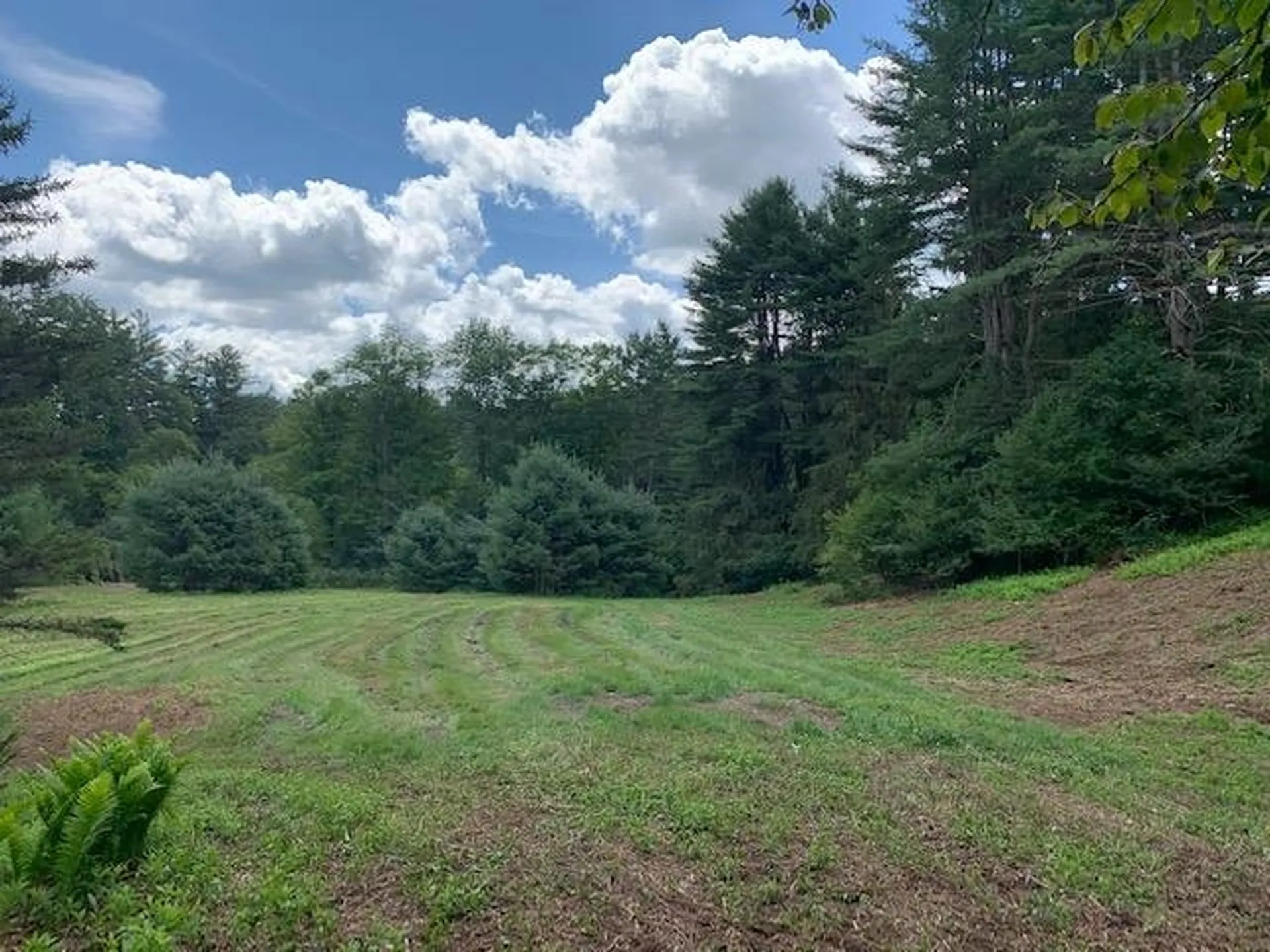 0 Barnard Road Woodstock VT 05091