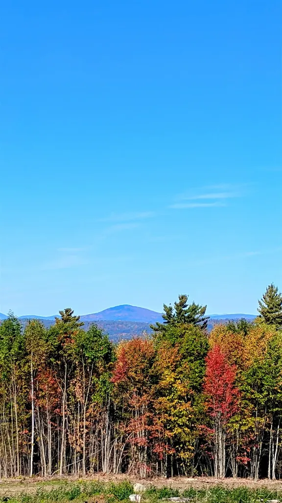 947 Foster Hill Road Landaff NH 03585