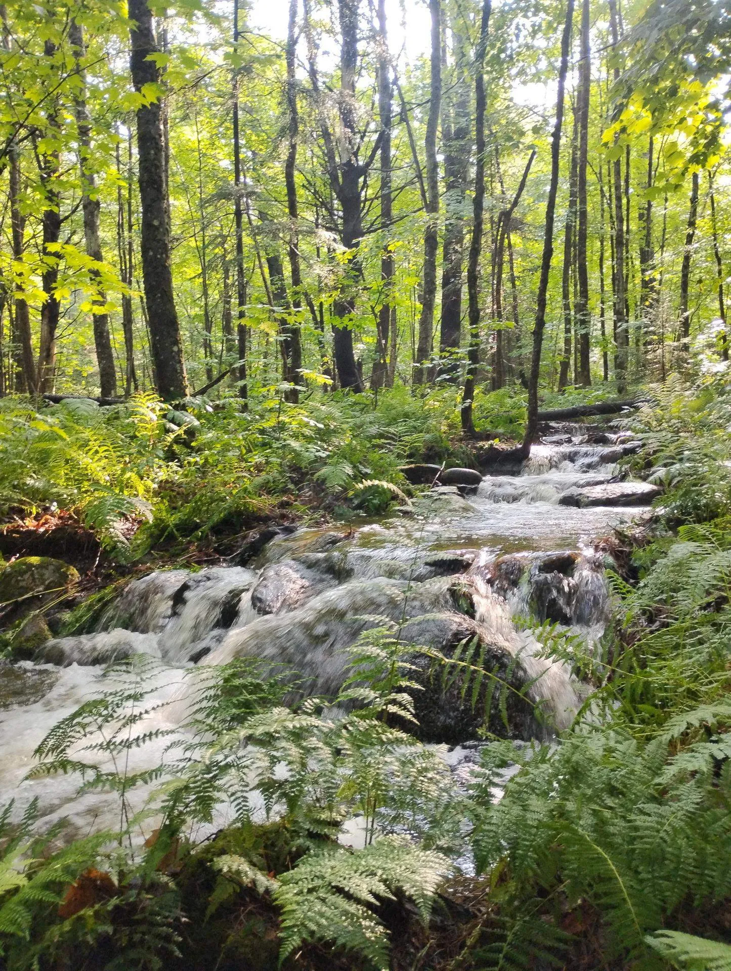 947 Foster Hill Road Landaff NH 03585