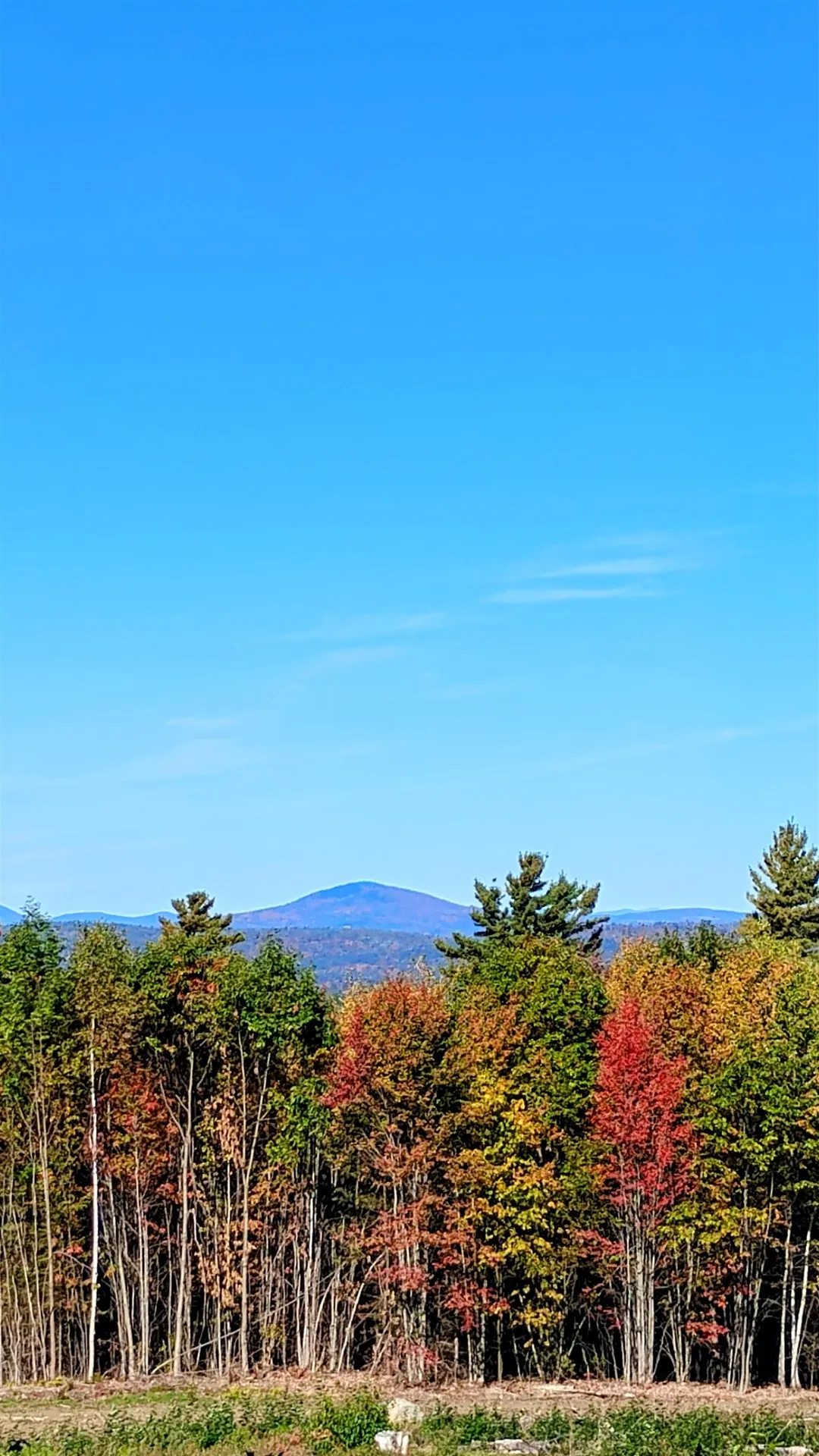 947 Foster Hill Road Landaff NH 03585