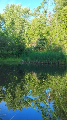 947 Foster Hill Road Landaff NH 03585