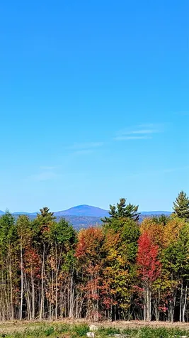 947 Foster Hill Road Landaff NH 03585