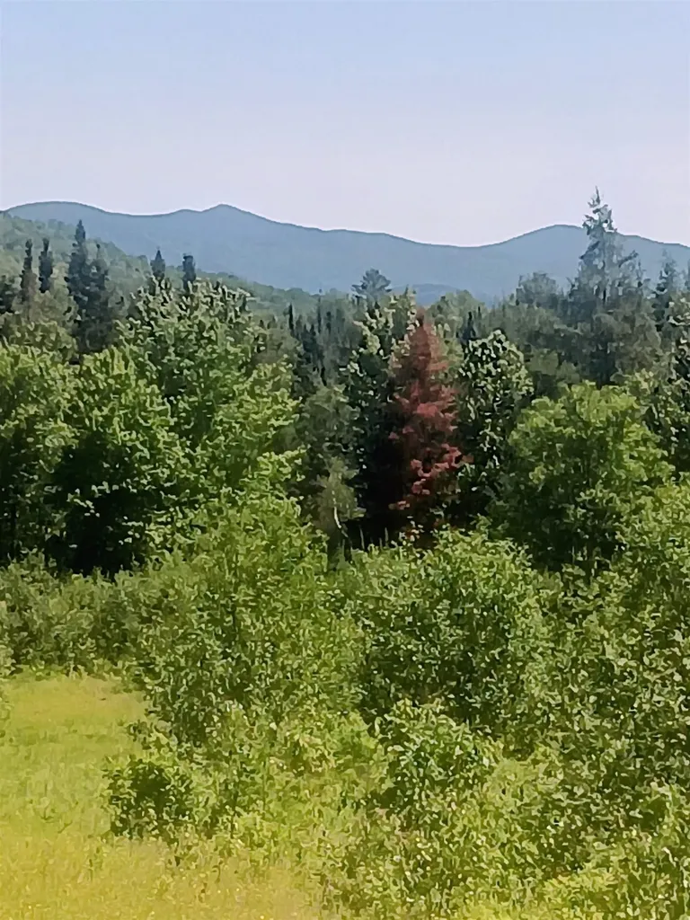 5108 North Road Maidstone VT 05905