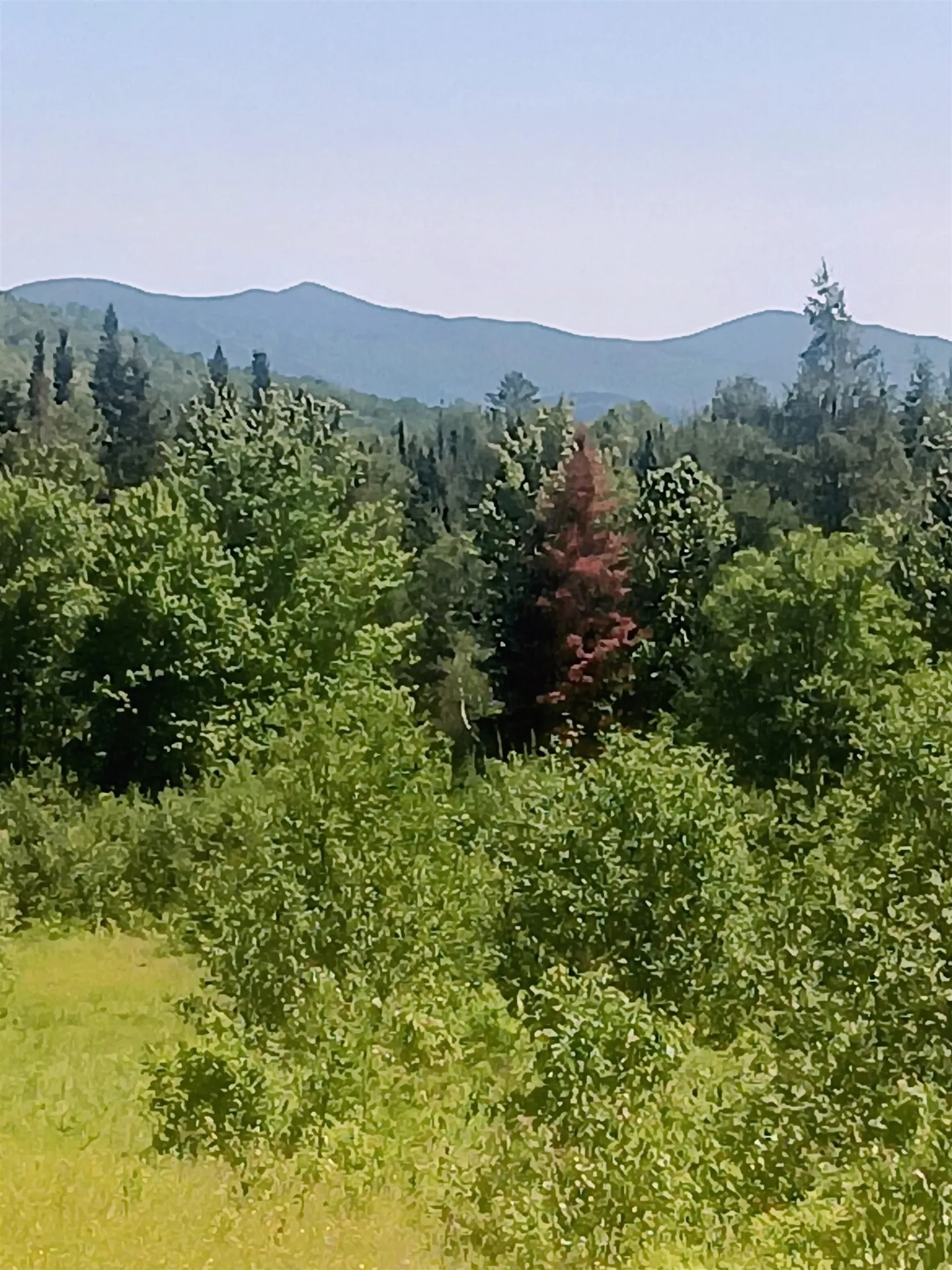 5108 North Road Maidstone VT 05905