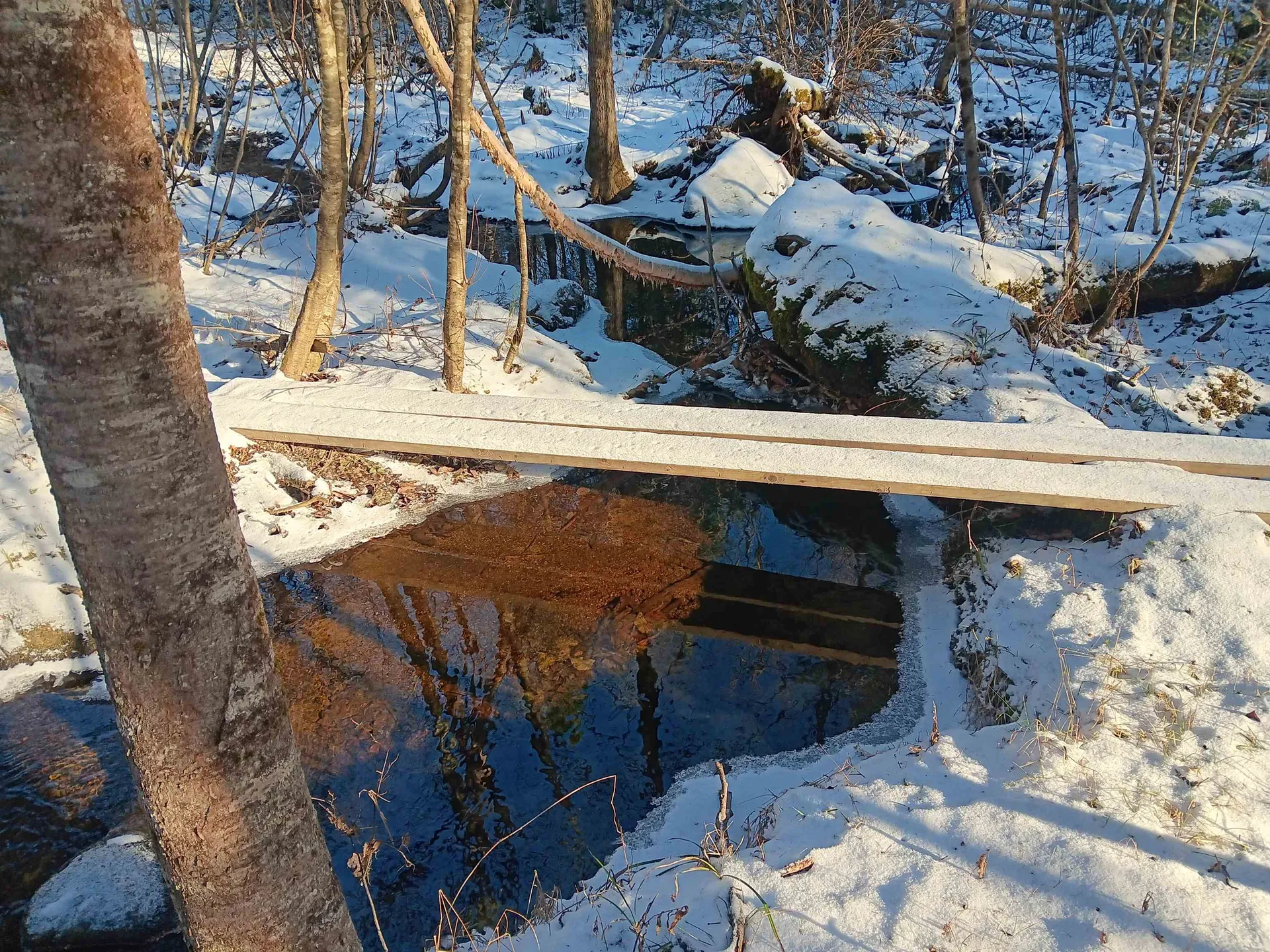 5108 North Road Maidstone VT 05905