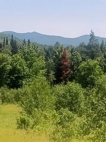 5108 North Road Maidstone VT 05905
