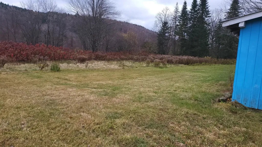 5560 Vt Route 12a Braintree VT 05060