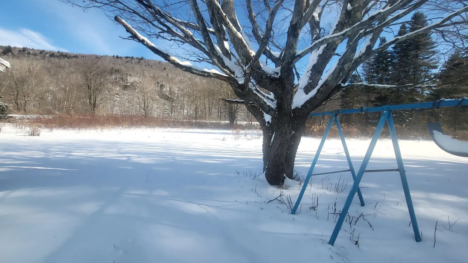 5560 Vt Route 12a Braintree VT 05060