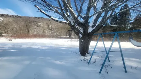 5560 Vt Route 12a Braintree VT 05060