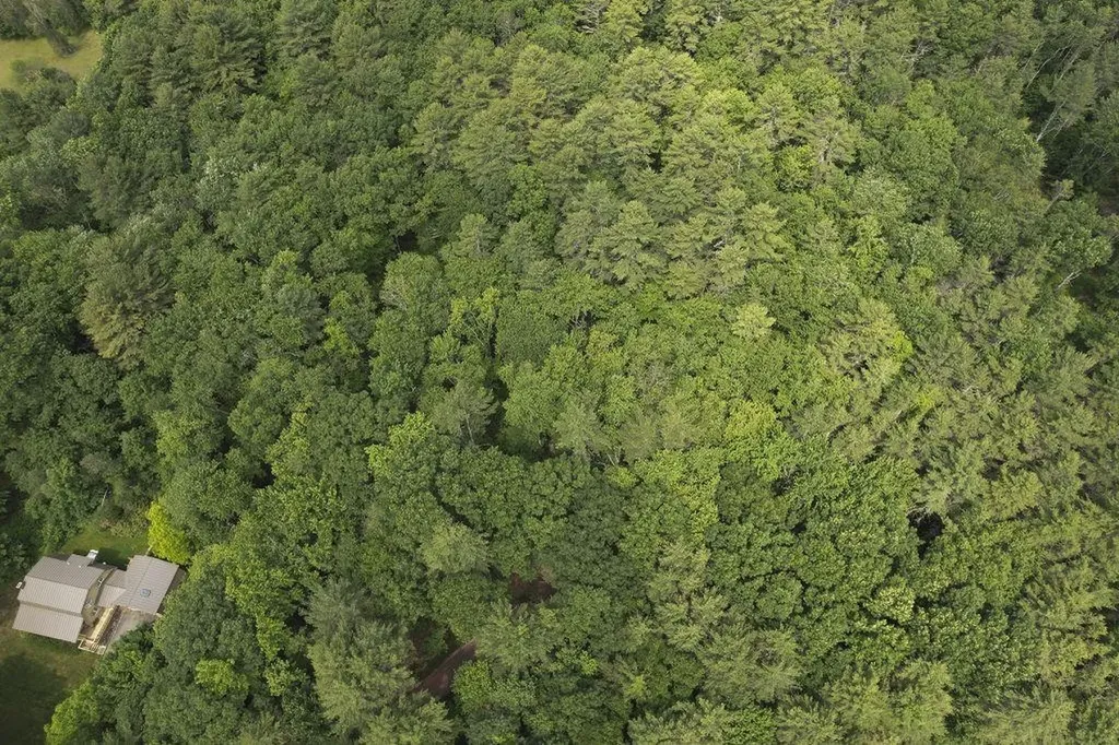 2 Lils Alley York ME 03909