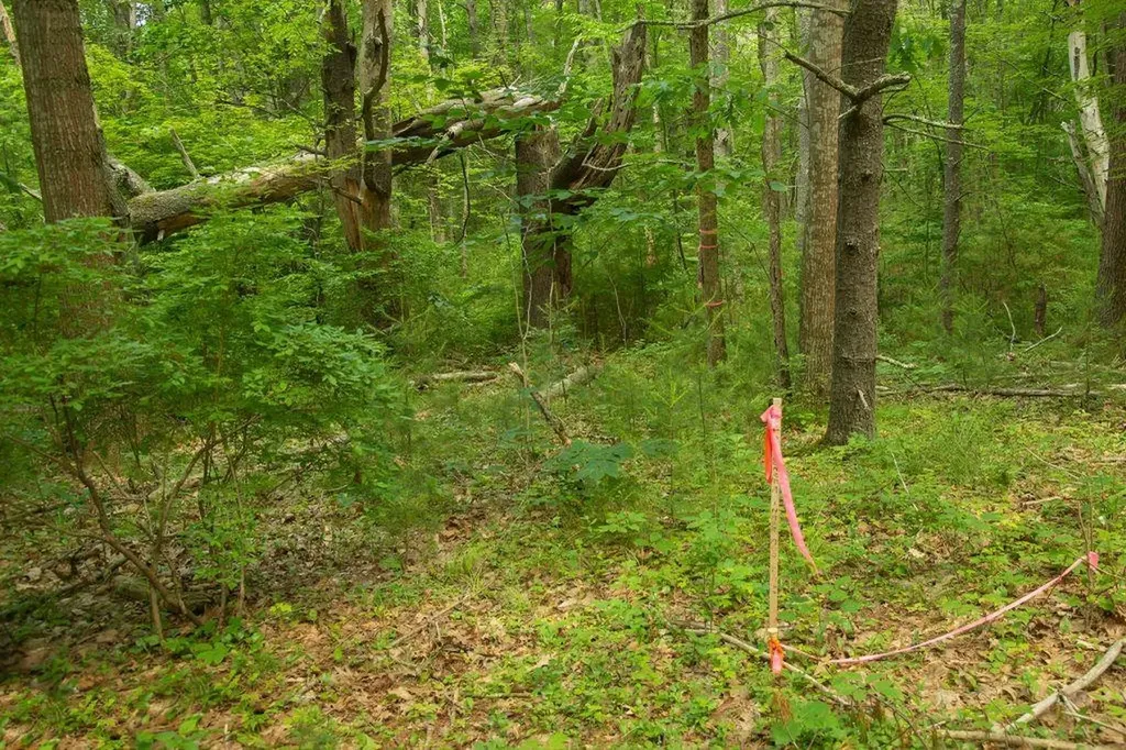 2 Lils Alley York ME 03909