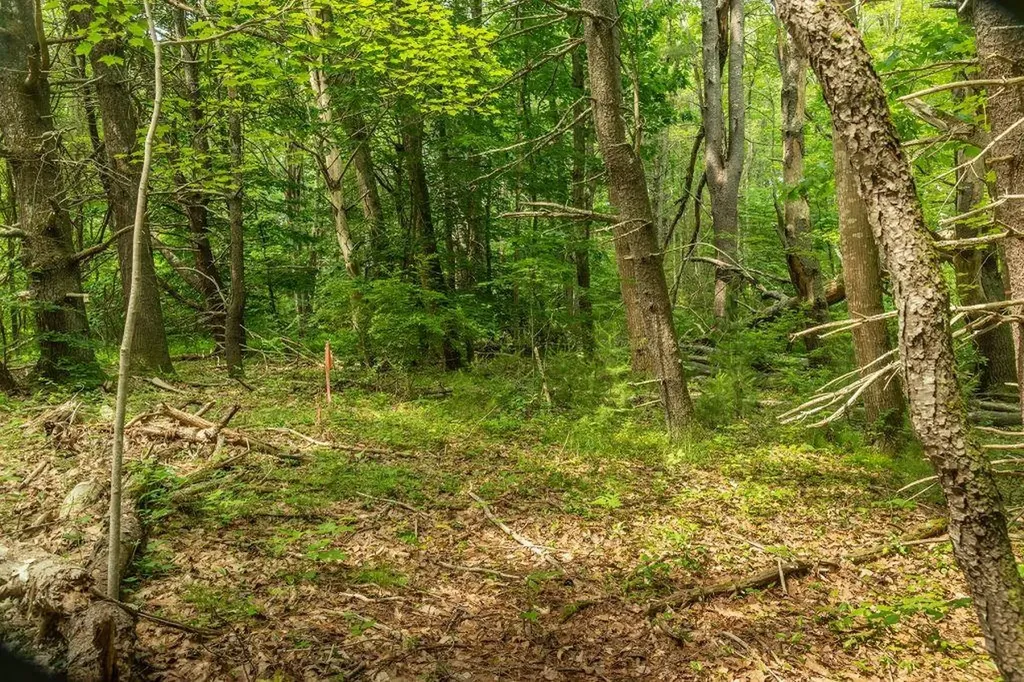 2 Lils Alley York ME 03909