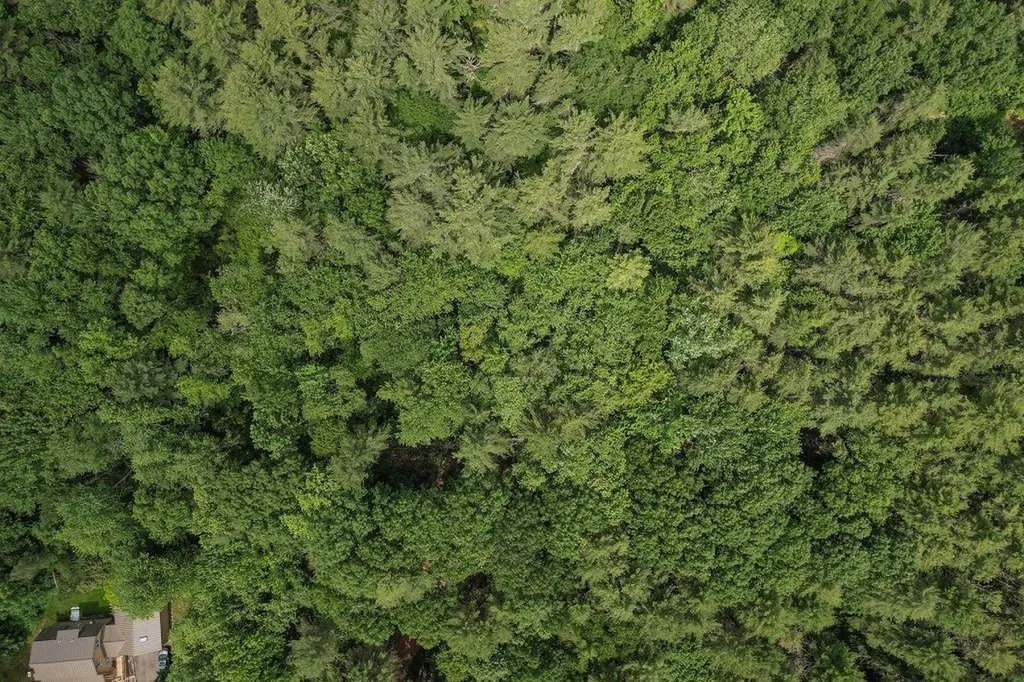 2 Lils Alley York ME 03909