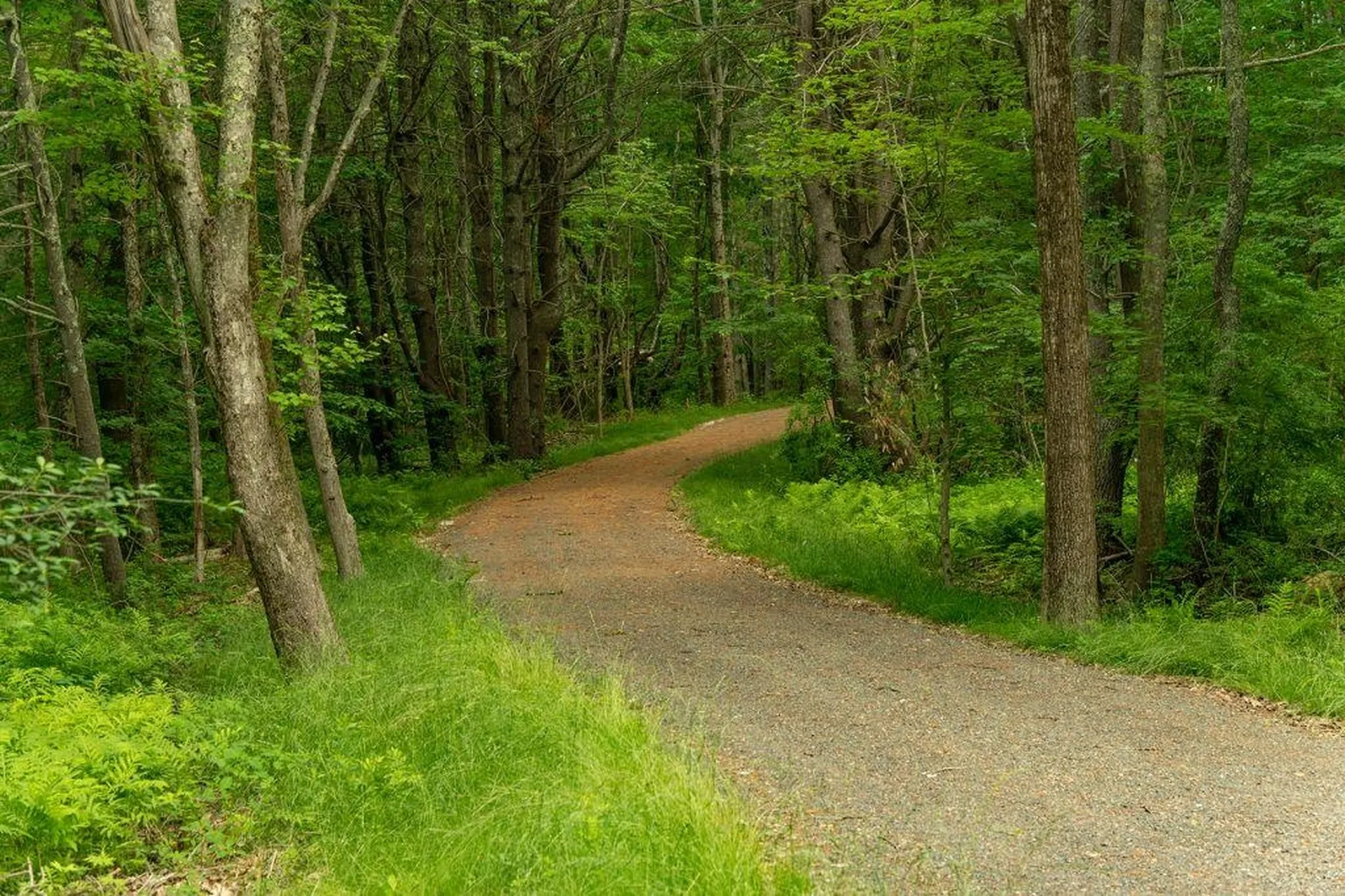 2 Lils Alley York ME 03909