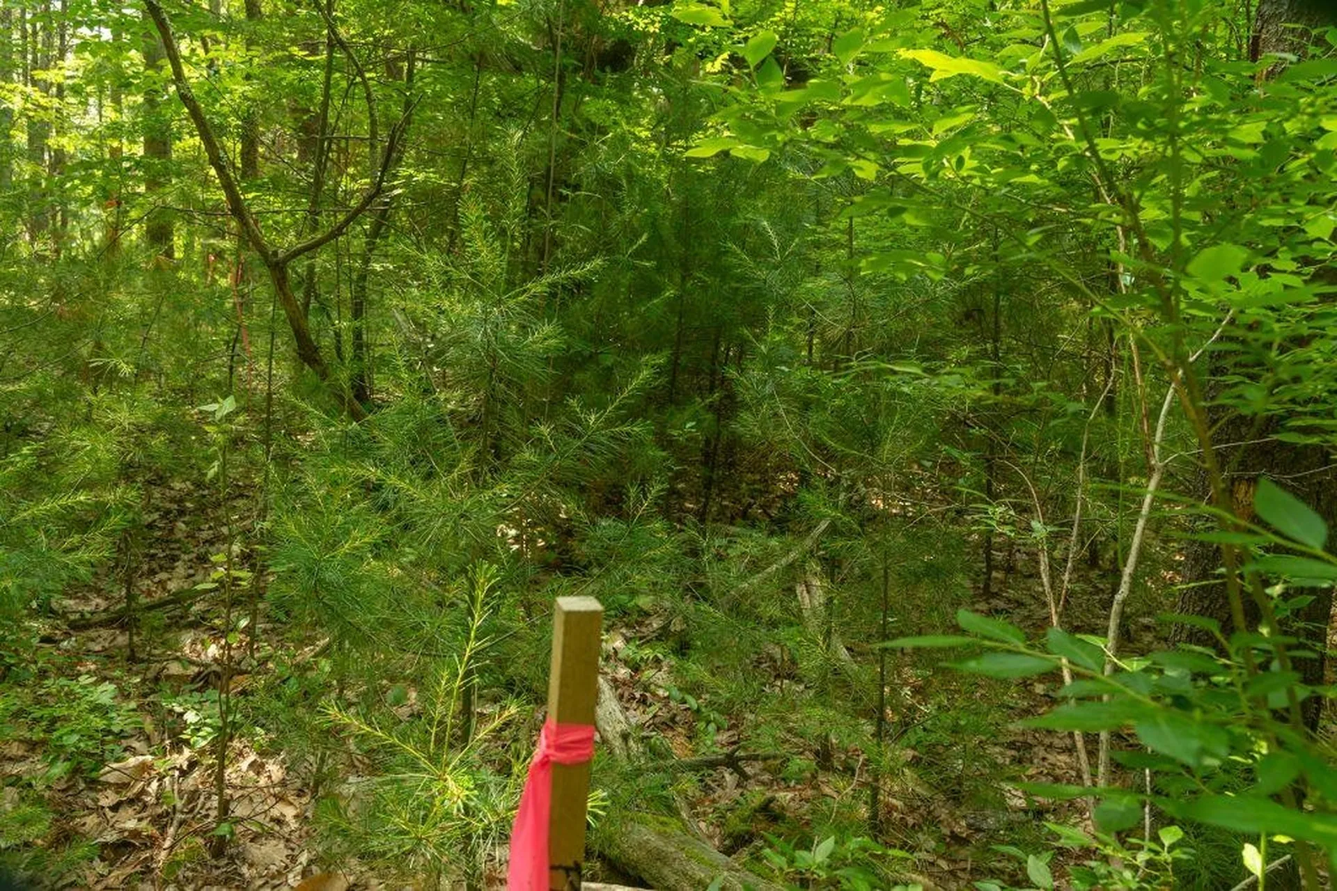 2 Lils Alley York ME 03909