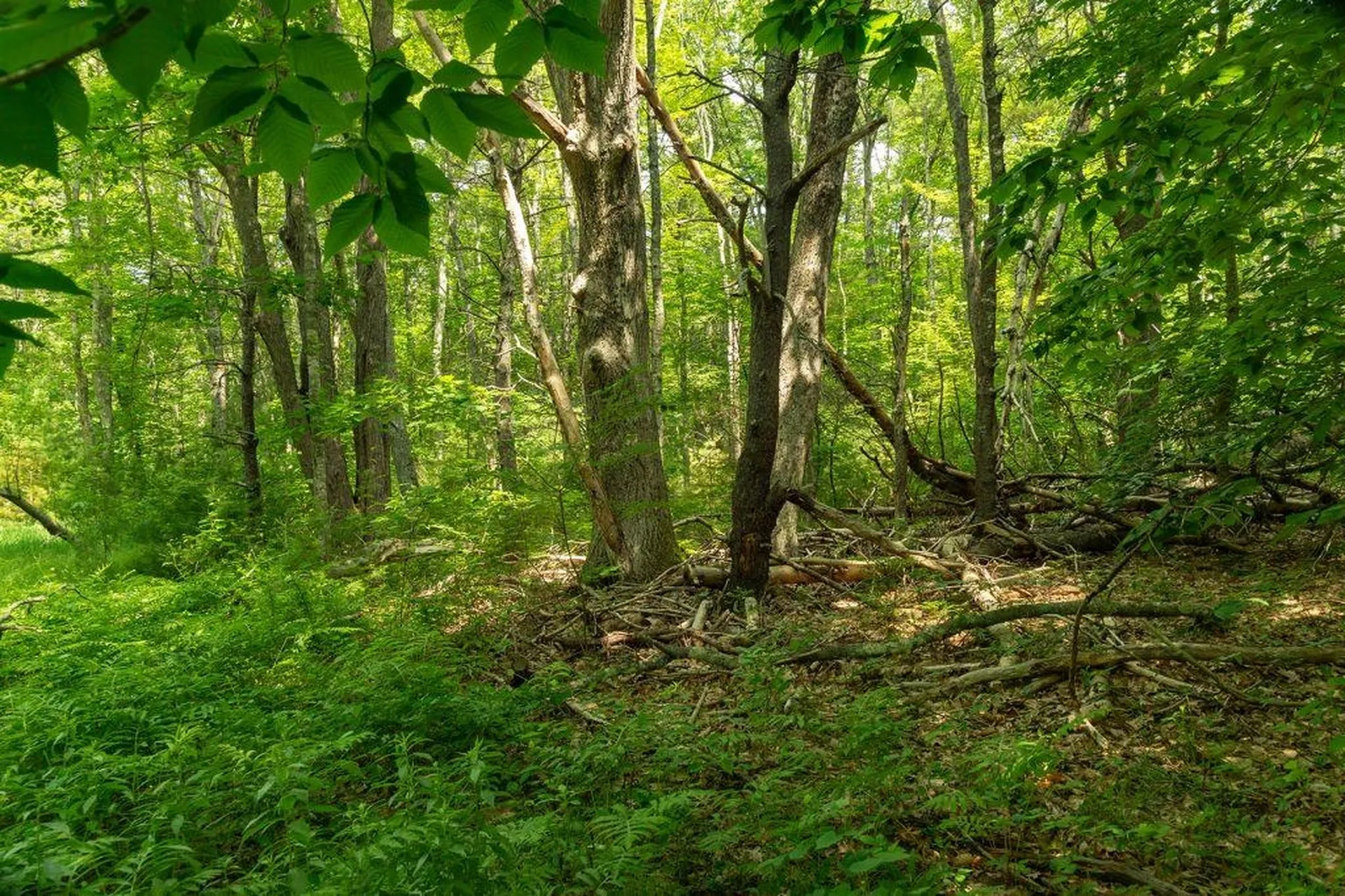 2 Lils Alley York ME 03909