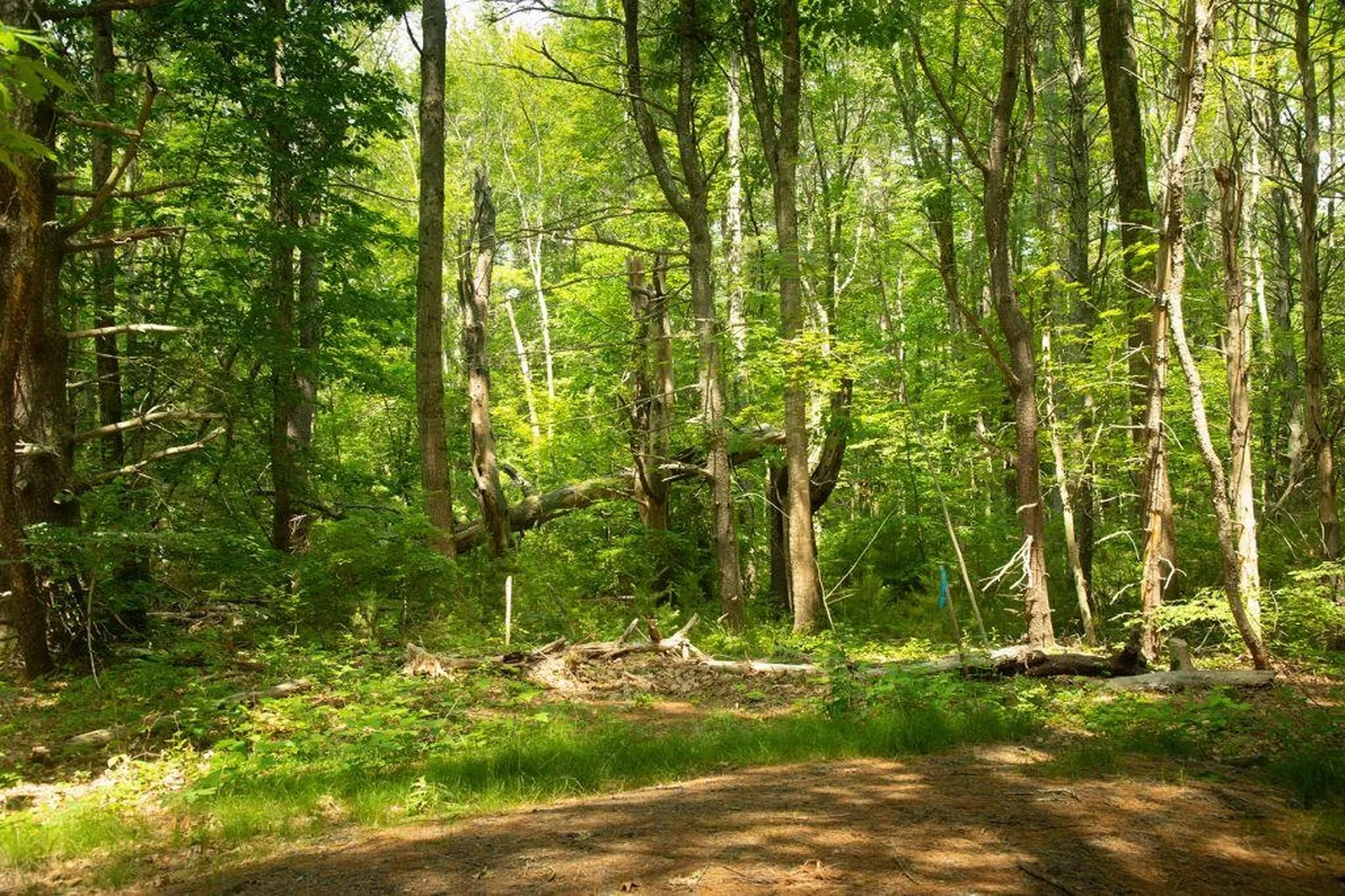 2 Lils Alley York ME 03909