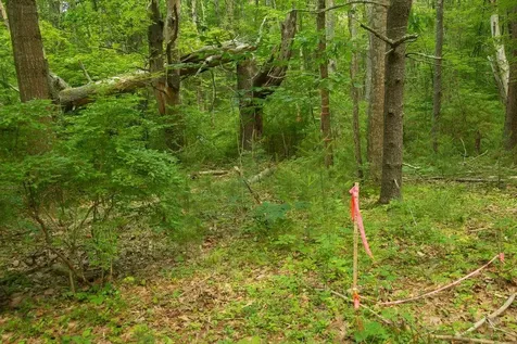 2 Lils Alley York ME 03909