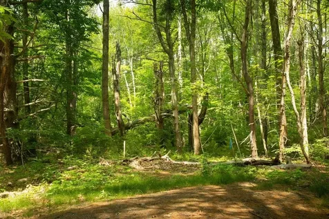 2 Lils Alley York ME 03909