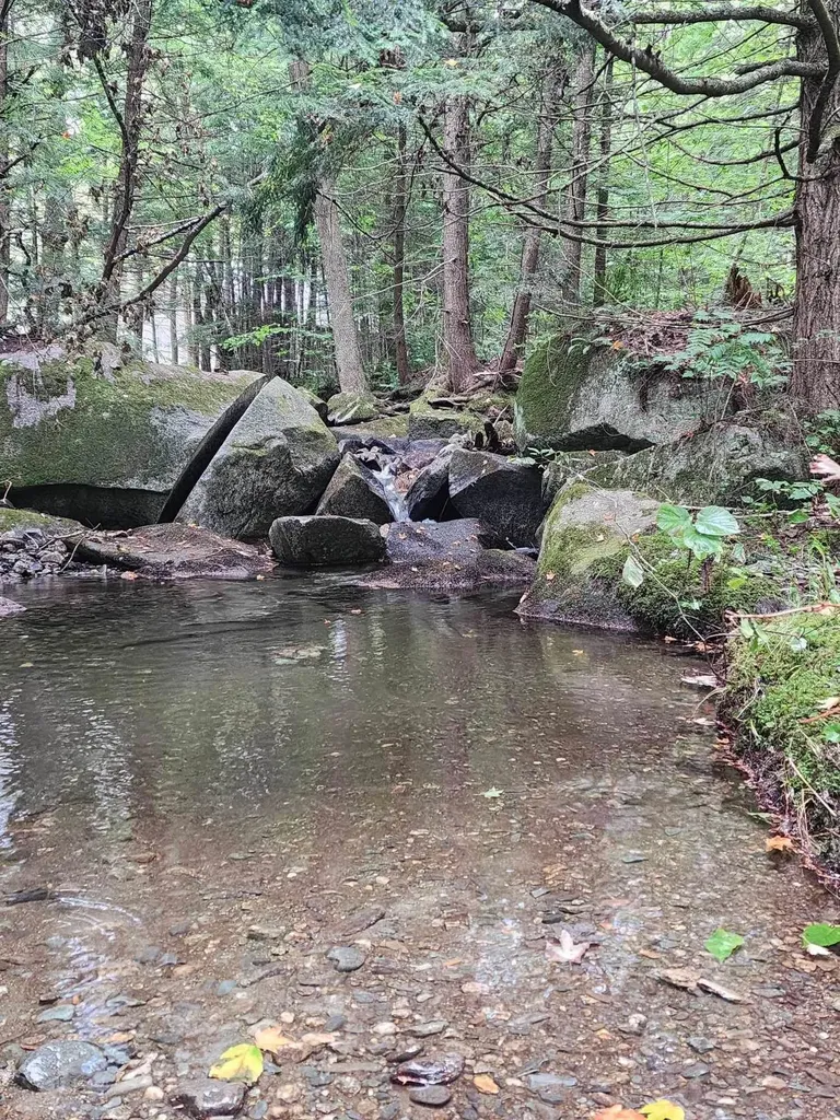 Piermont Heights Road Piermont NH 03779