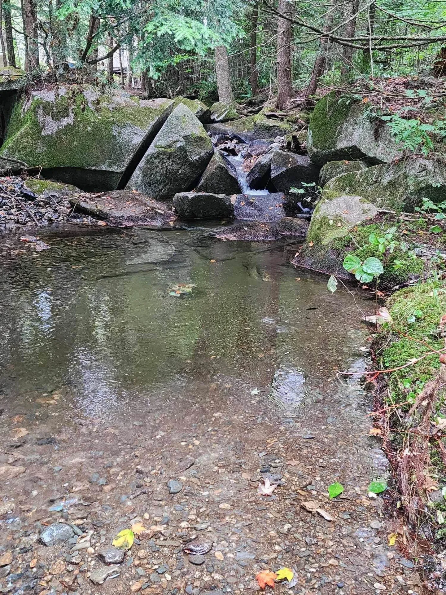 Piermont Heights Road Piermont NH 03779