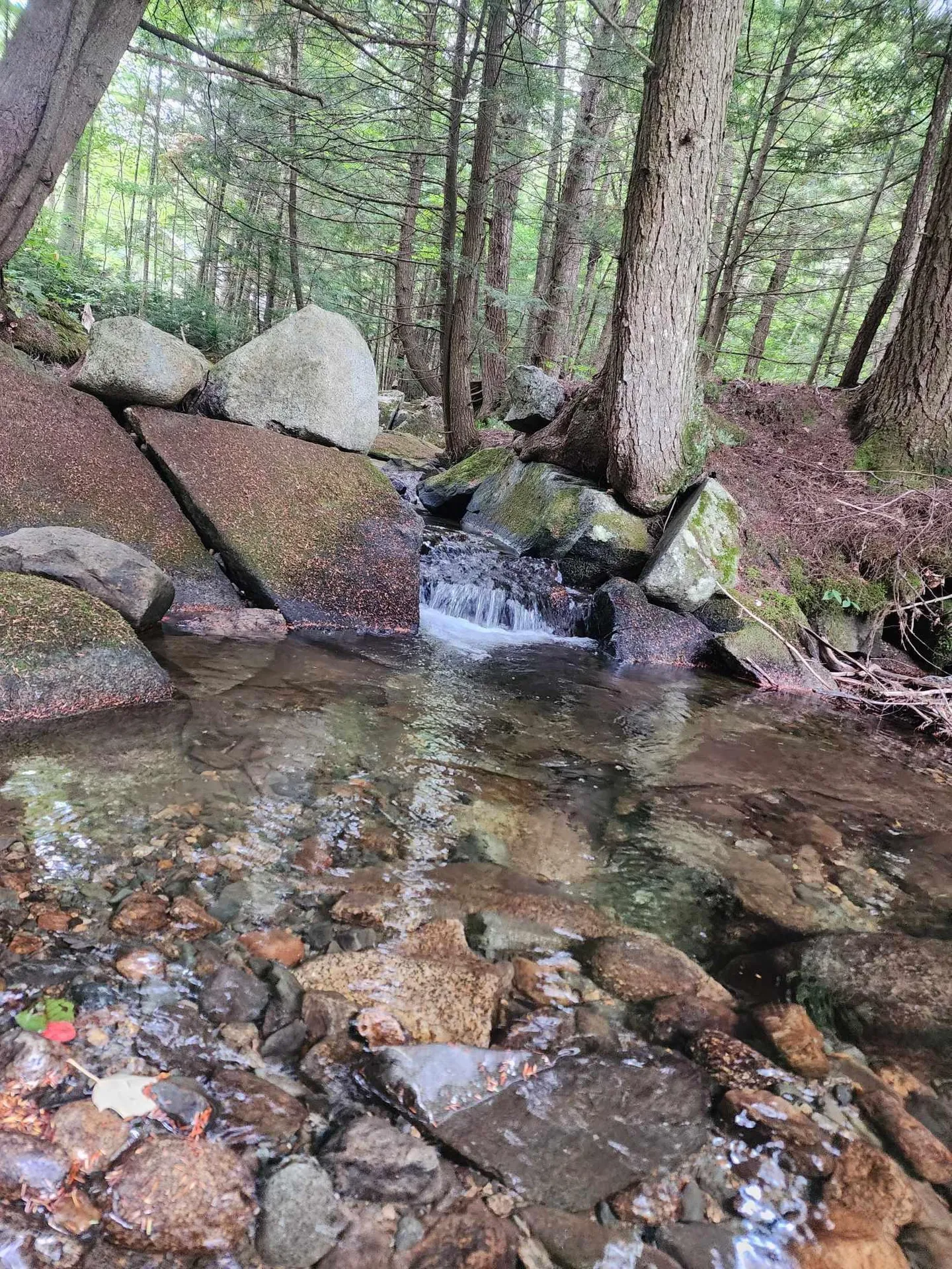 Piermont Heights Road Piermont NH 03779