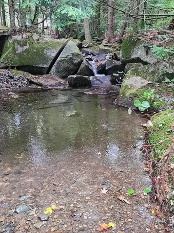 Piermont Heights Road Piermont NH 03779