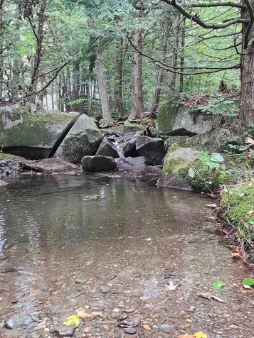 Piermont Heights Road Piermont NH 03779