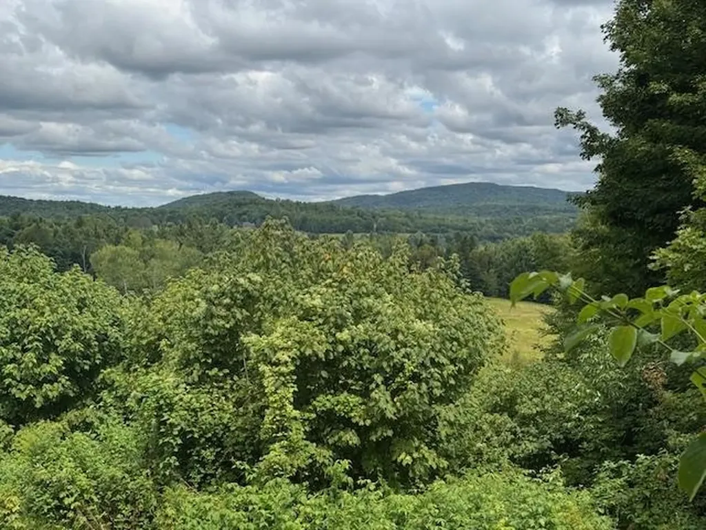 190 Upper Edsall Road Greensboro VT 05841