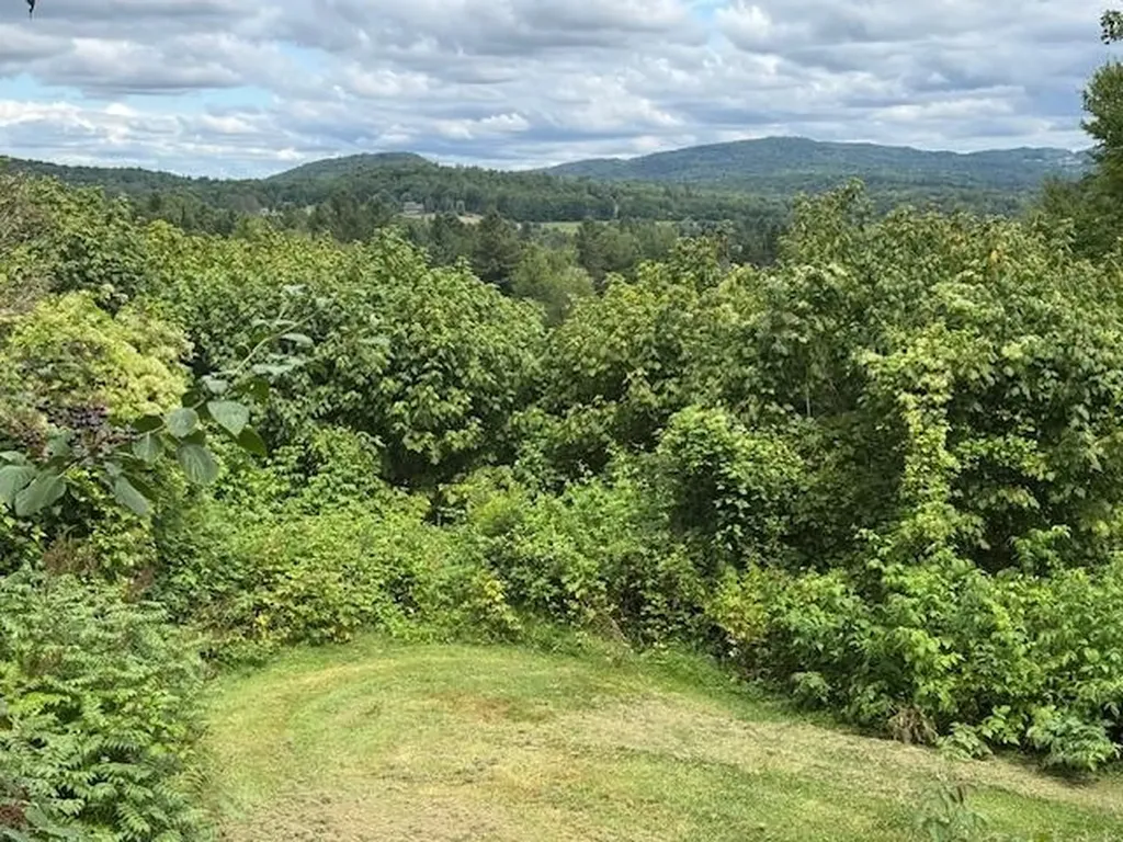 190 Upper Edsall Road Greensboro VT 05841