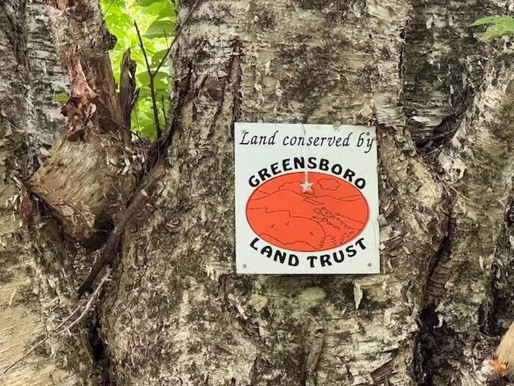 190 Upper Edsall Road Greensboro VT 05841