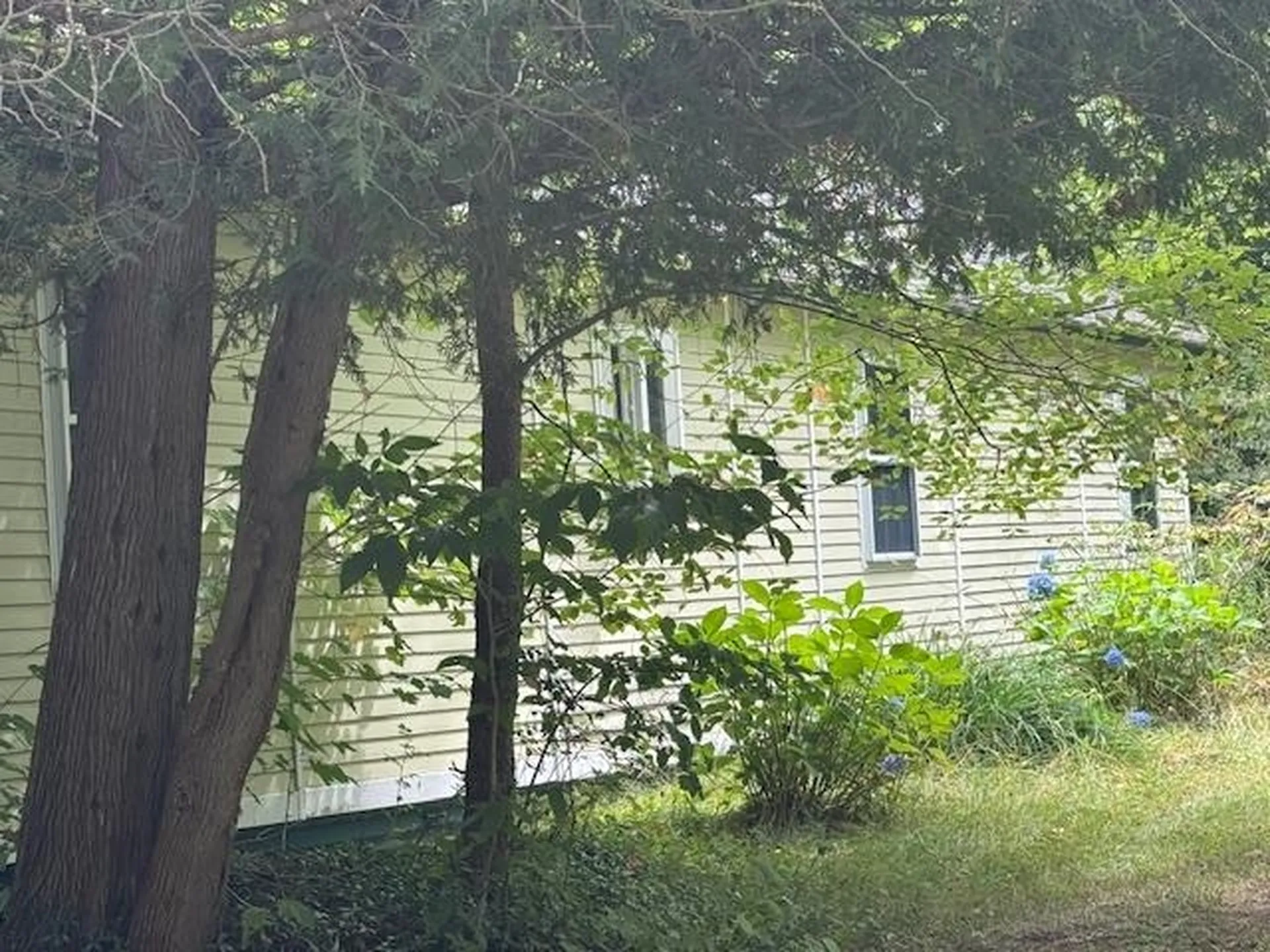 190 Upper Edsall Road Greensboro VT 05841