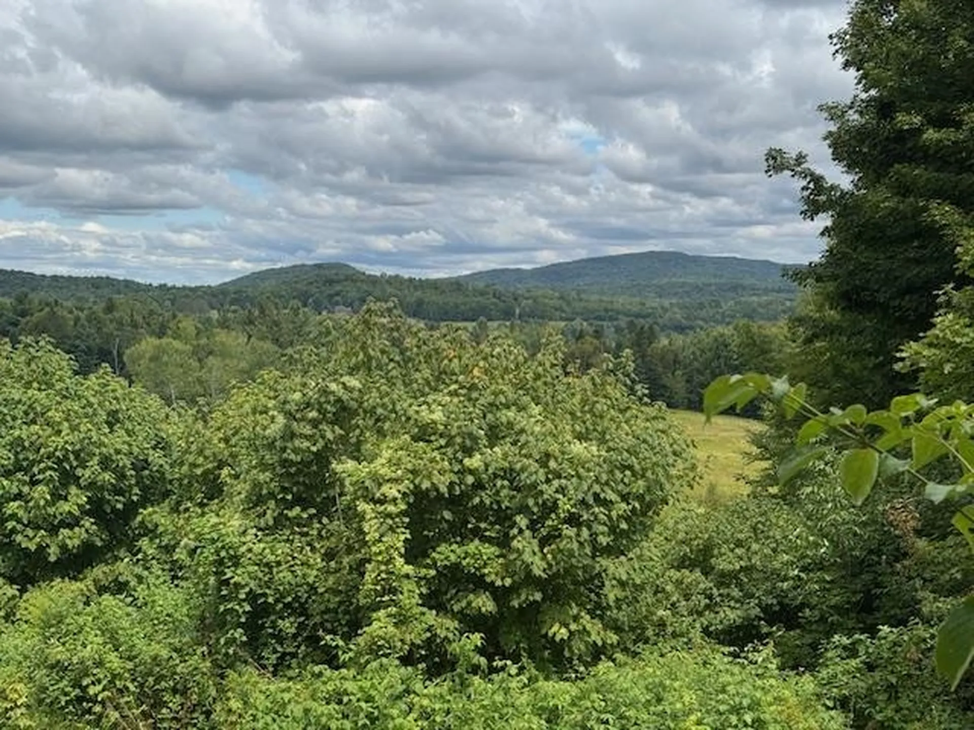 190 Upper Edsall Road Greensboro VT 05841