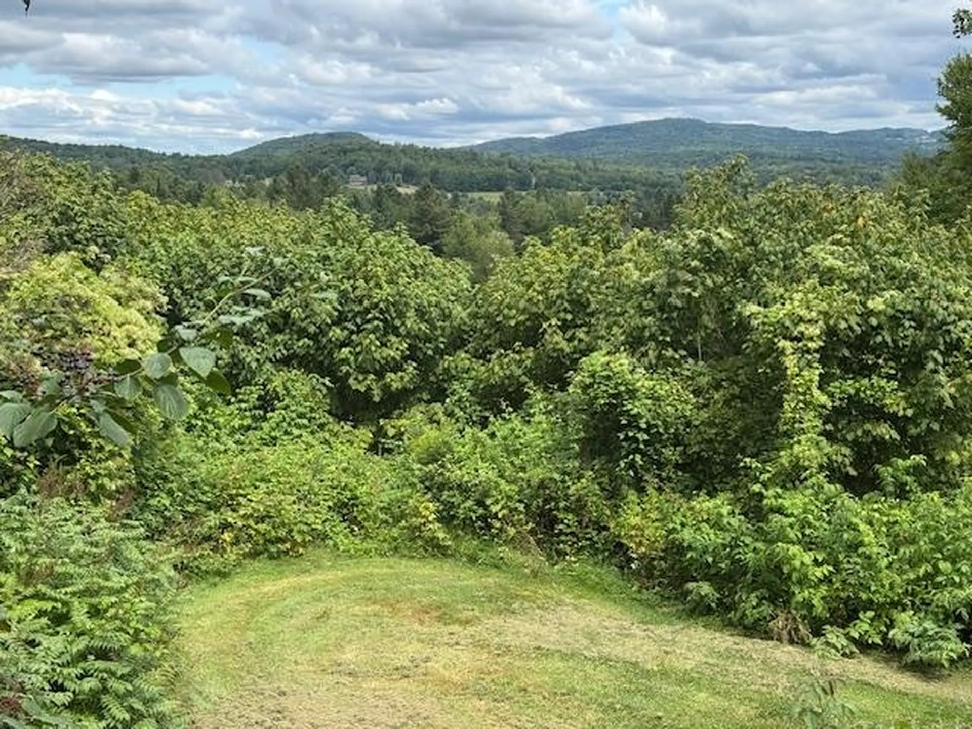 190 Upper Edsall Road Greensboro VT 05841