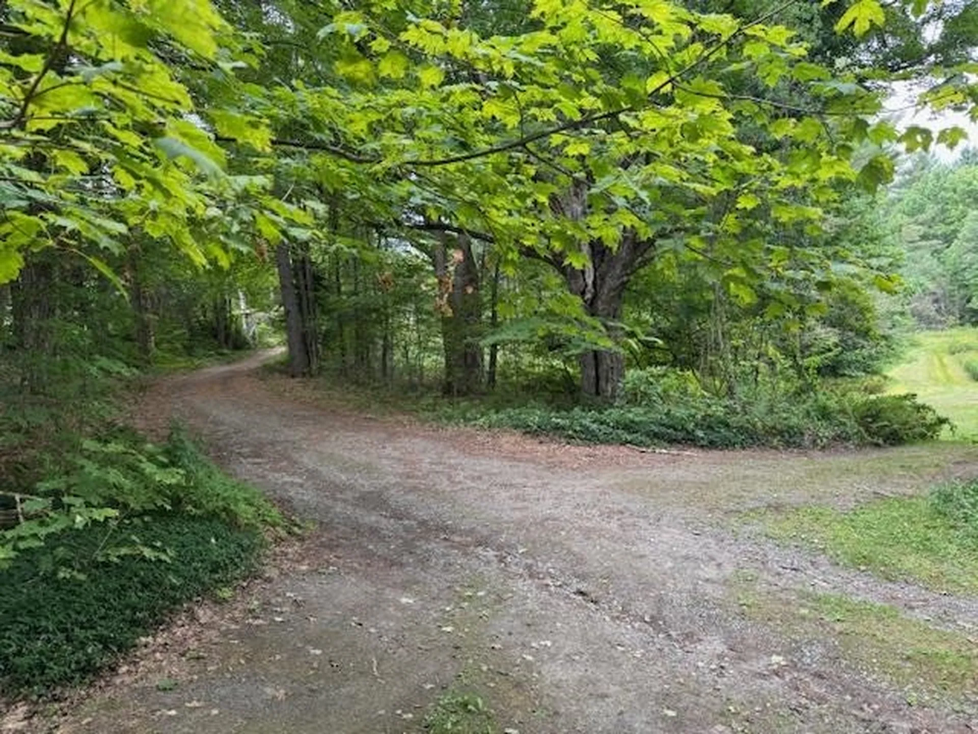 190 Upper Edsall Road Greensboro VT 05841