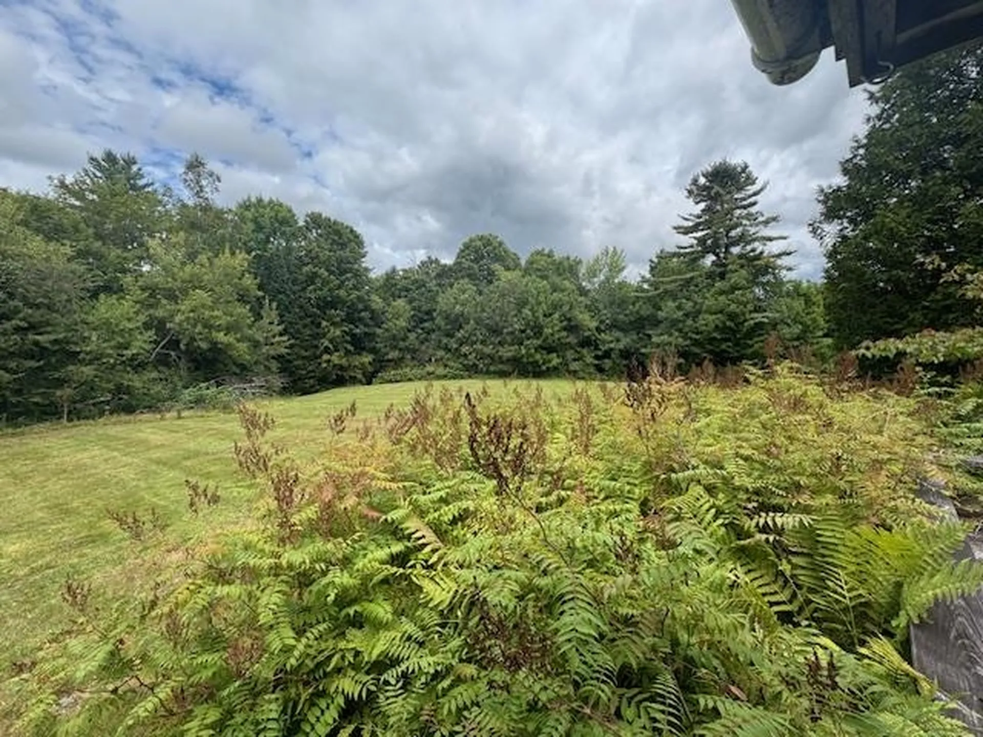 190 Upper Edsall Road Greensboro VT 05841