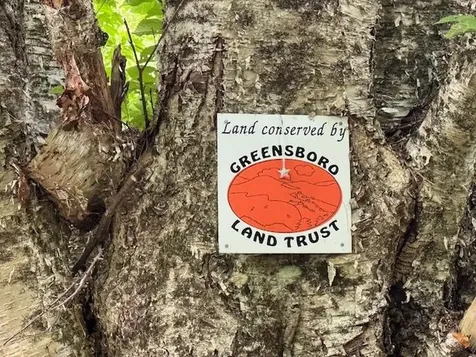 190 Upper Edsall Road Greensboro VT 05841