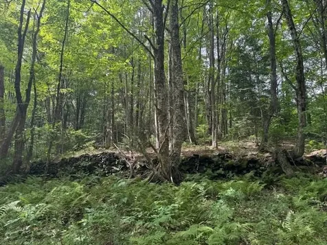 190 Upper Edsall Road Greensboro VT 05841