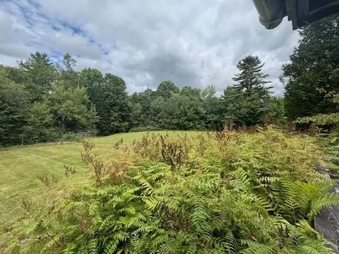 190 Upper Edsall Road Greensboro VT 05841