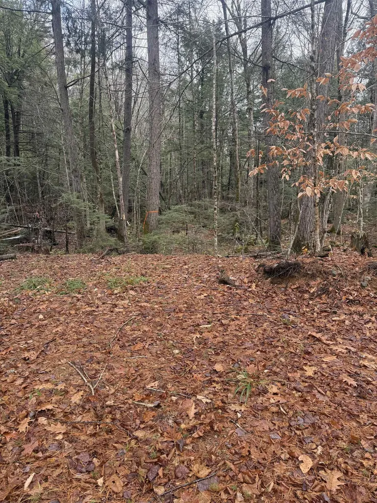 00 Partridge Hill Road Sandwich NH 03227