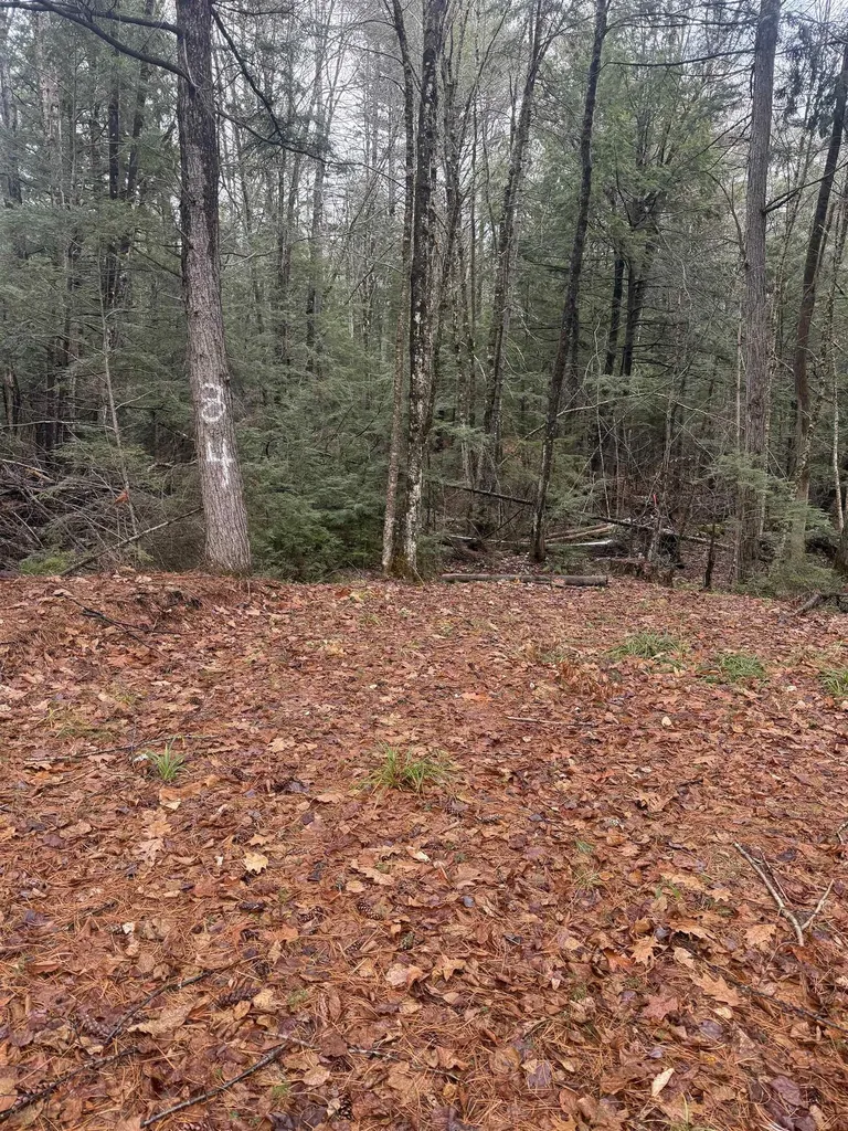 00 Partridge Hill Road Sandwich NH 03227