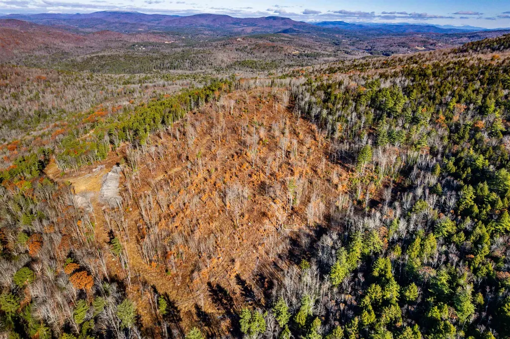 375 New Canada Road Danbury NH 03230